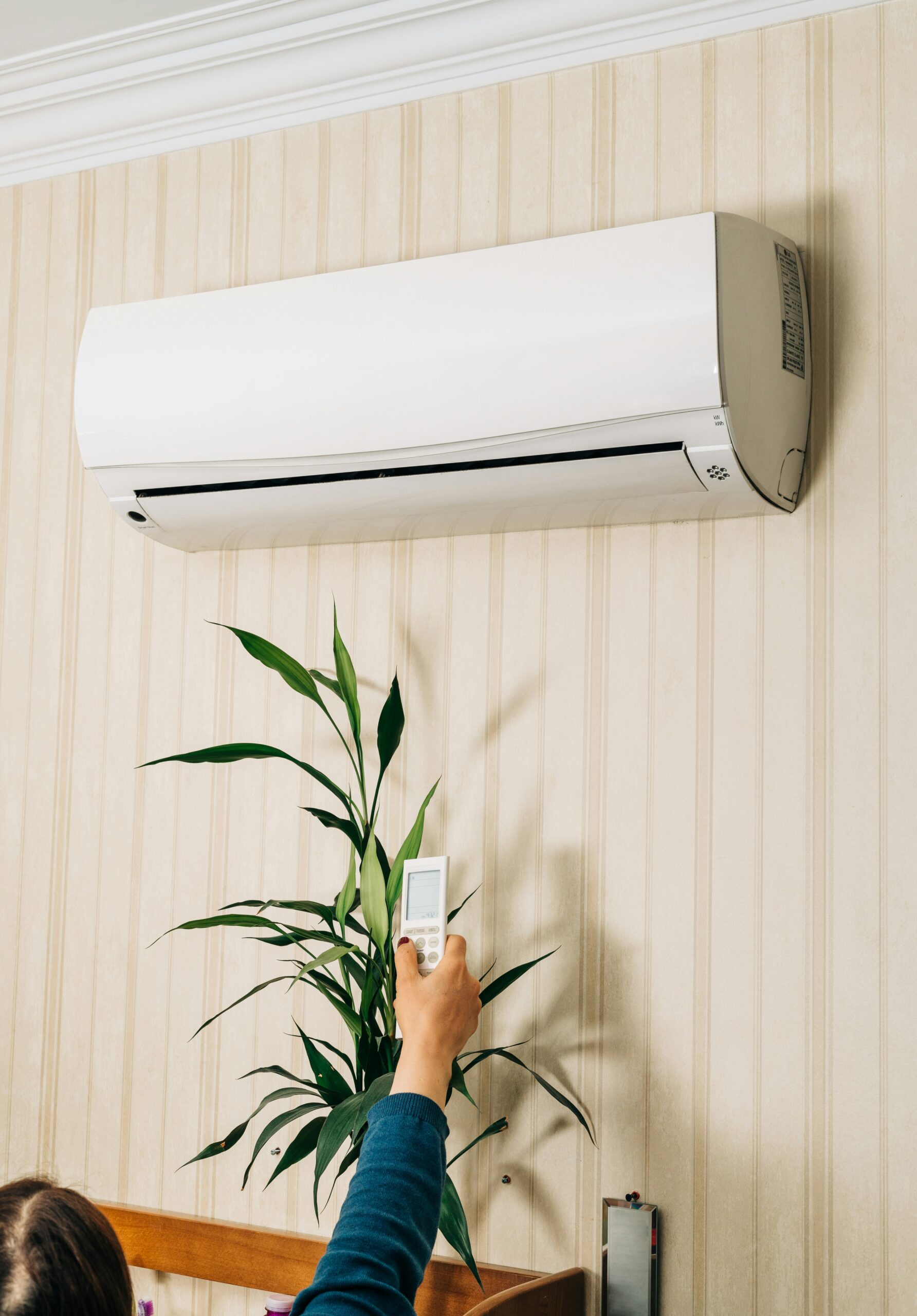 Energy-Efficiency Financing Programs: Navigating Your Options for a Sustainable Future