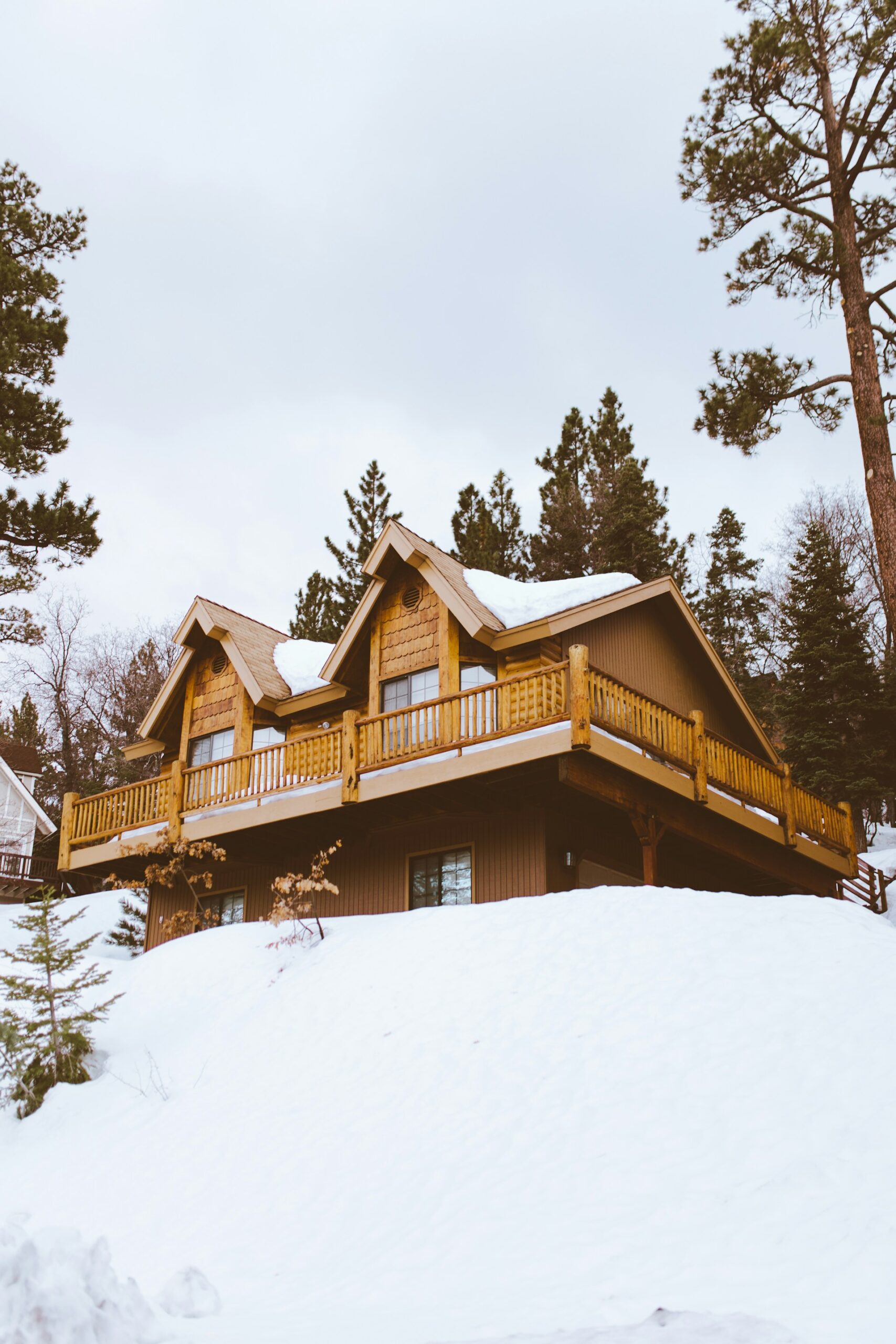 House covered in snow